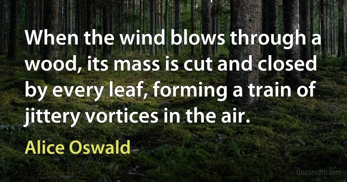 When the wind blows through a wood, its mass is cut and closed by every leaf, forming a train of jittery vortices in the air. (Alice Oswald)