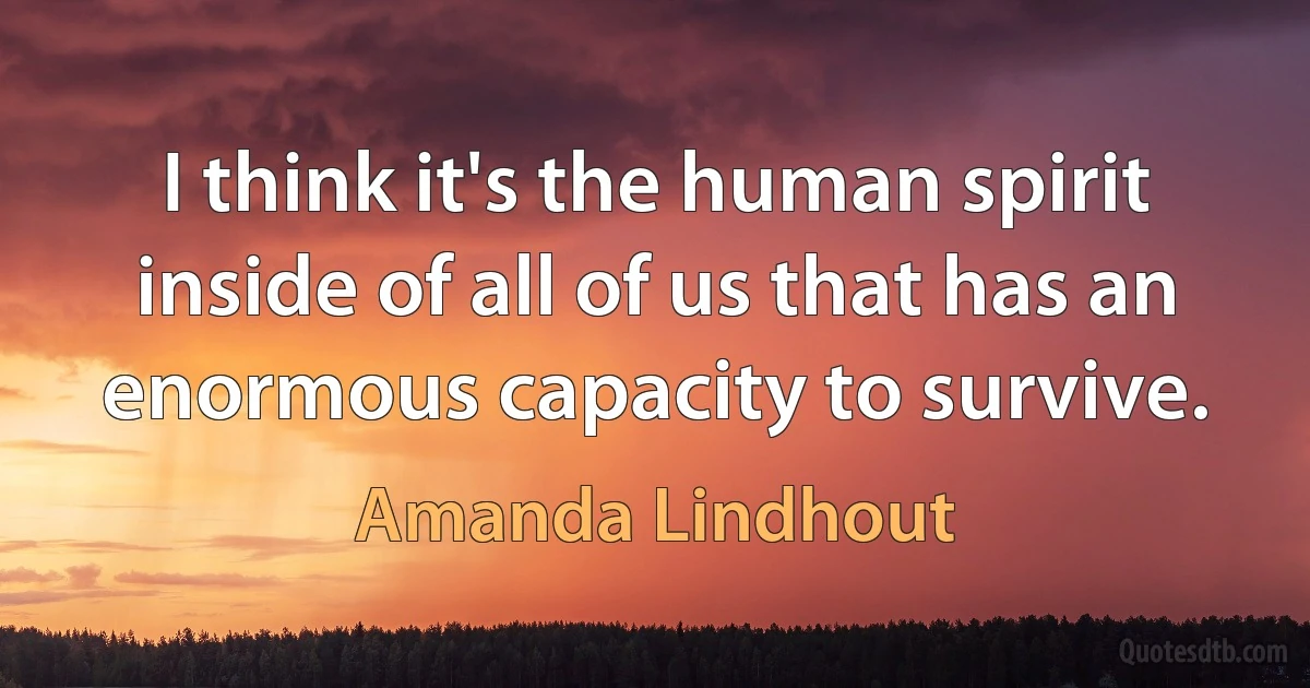 I think it's the human spirit inside of all of us that has an enormous capacity to survive. (Amanda Lindhout)