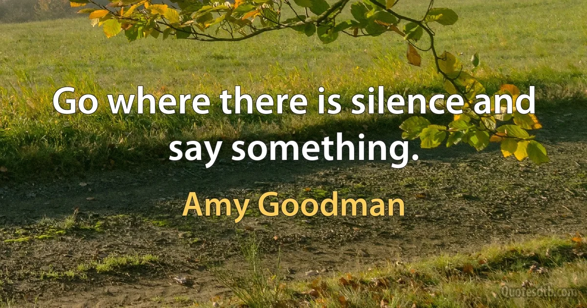 Go where there is silence and say something. (Amy Goodman)