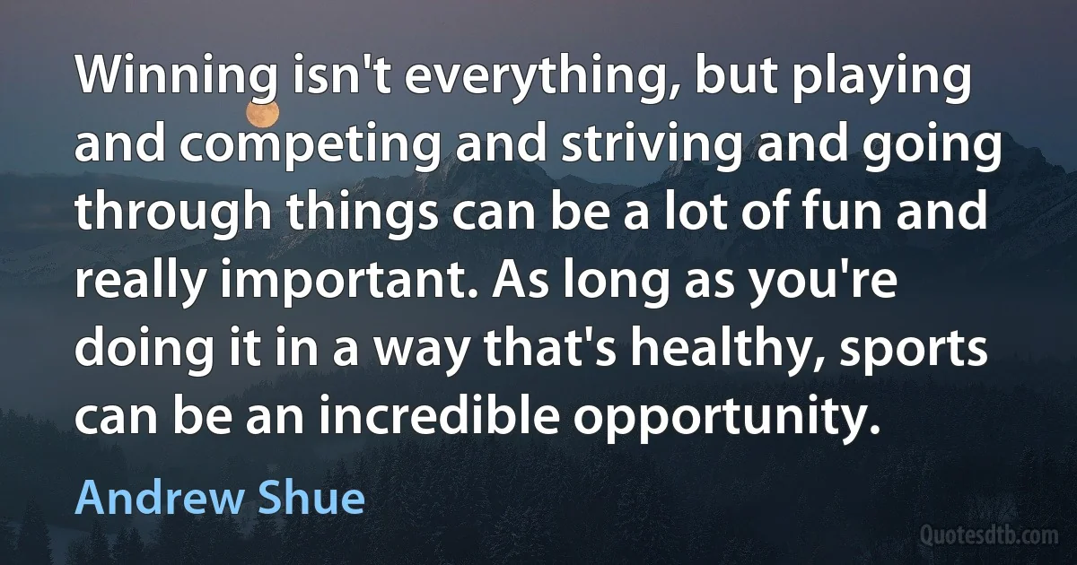 Winning isn't everything, but playing and competing and striving and going through things can be a lot of fun and really important. As long as you're doing it in a way that's healthy, sports can be an incredible opportunity. (Andrew Shue)