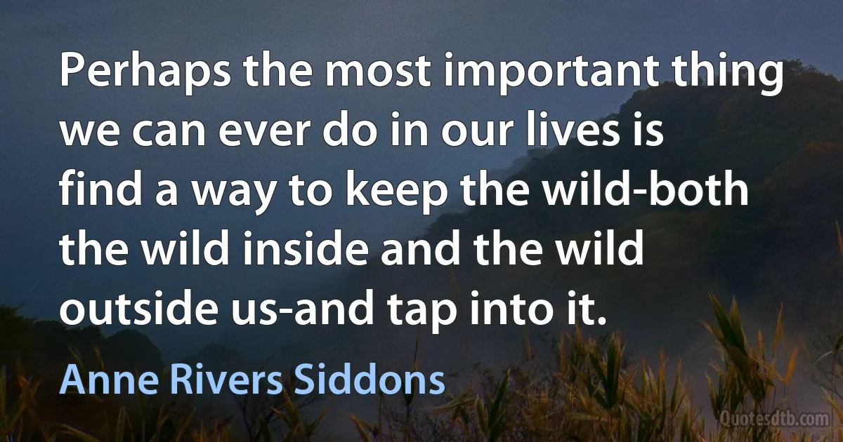 Perhaps the most important thing we can ever do in our lives is find a way to keep the wild-both the wild inside and the wild outside us-and tap into it. (Anne Rivers Siddons)