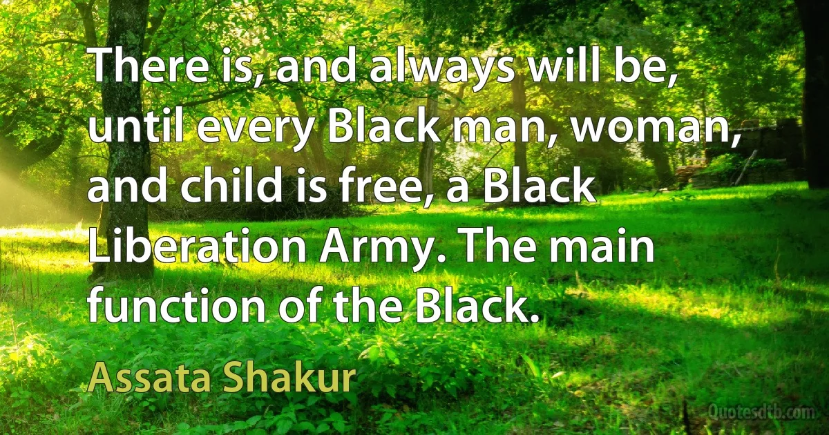 There is, and always will be, until every Black man, woman, and child is free, a Black Liberation Army. The main function of the Black. (Assata Shakur)