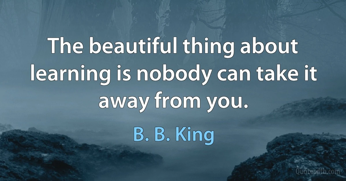 The beautiful thing about learning is nobody can take it away from you. (B. B. King)