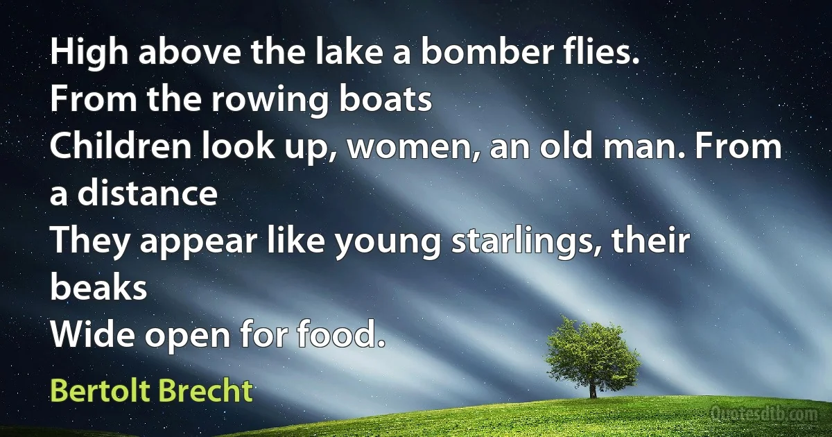 High above the lake a bomber flies.
From the rowing boats
Children look up, women, an old man. From a distance
They appear like young starlings, their beaks
Wide open for food. (Bertolt Brecht)