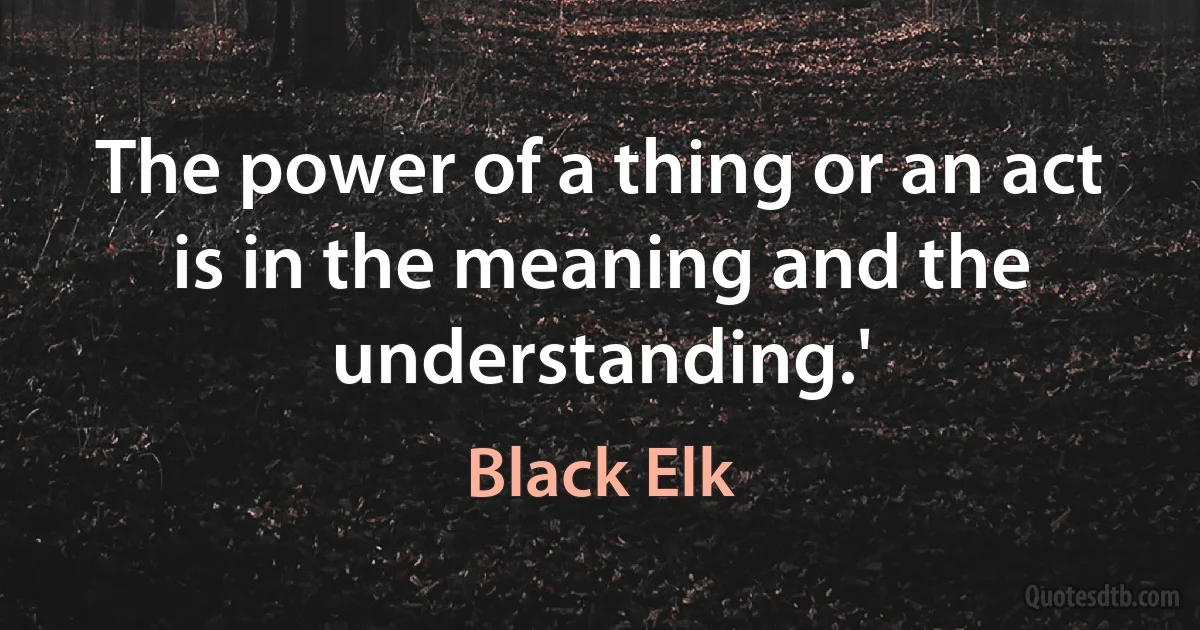 The power of a thing or an act is in the meaning and the understanding.' (Black Elk)