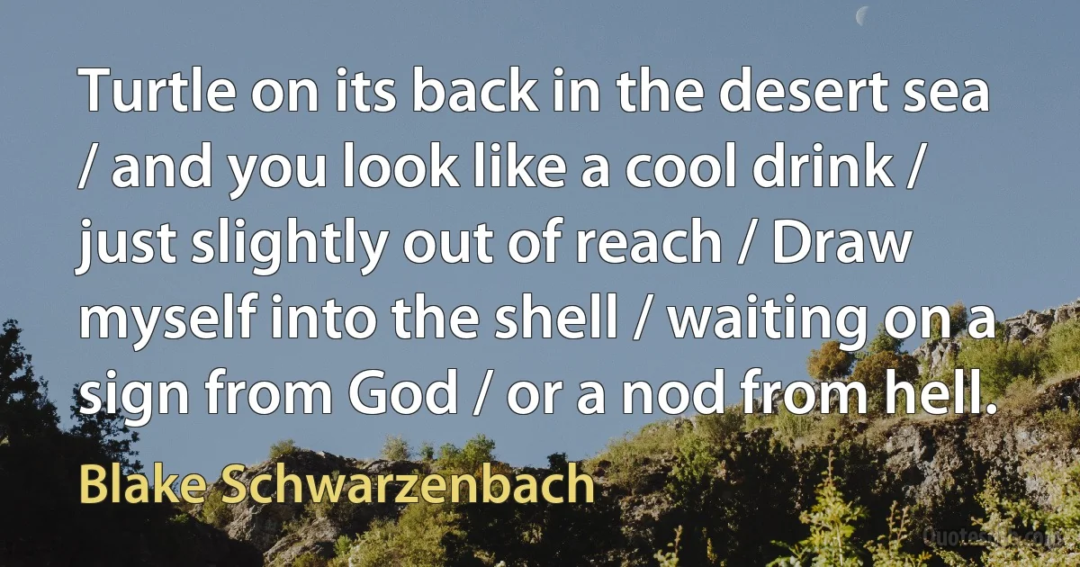 Turtle on its back in the desert sea / and you look like a cool drink / just slightly out of reach / Draw myself into the shell / waiting on a sign from God / or a nod from hell. (Blake Schwarzenbach)