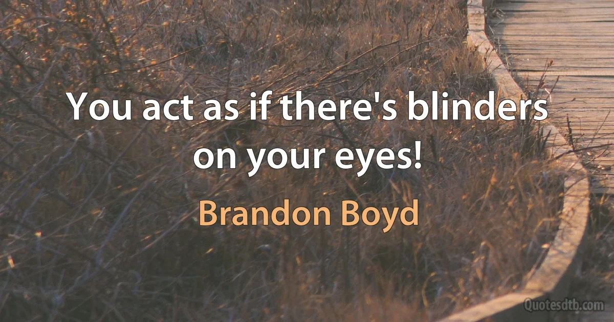 You act as if there's blinders on your eyes! (Brandon Boyd)