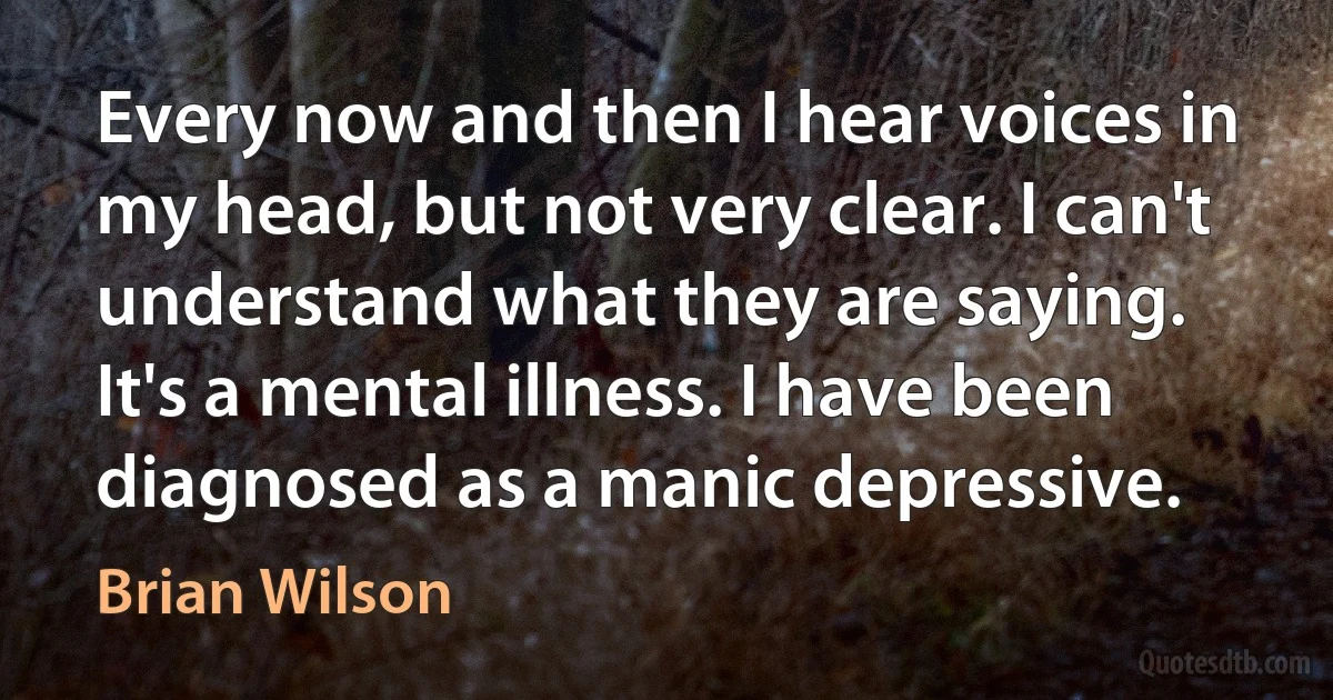 Every now and then I hear voices in my head, but not very clear. I can't understand what they are saying. It's a mental illness. I have been diagnosed as a manic depressive. (Brian Wilson)