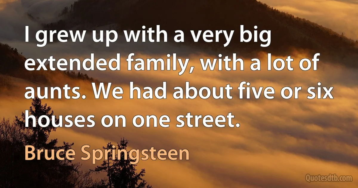 I grew up with a very big extended family, with a lot of aunts. We had about five or six houses on one street. (Bruce Springsteen)