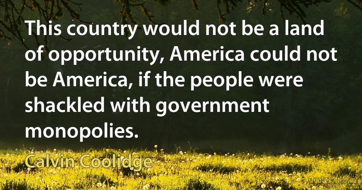 This country would not be a land of opportunity, America could not be America, if the people were shackled with government monopolies. (Calvin Coolidge)