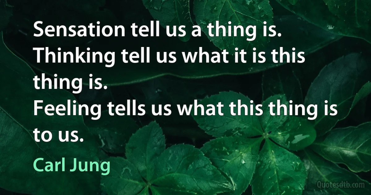 Sensation tell us a thing is.
Thinking tell us what it is this thing is.
Feeling tells us what this thing is to us. (Carl Jung)