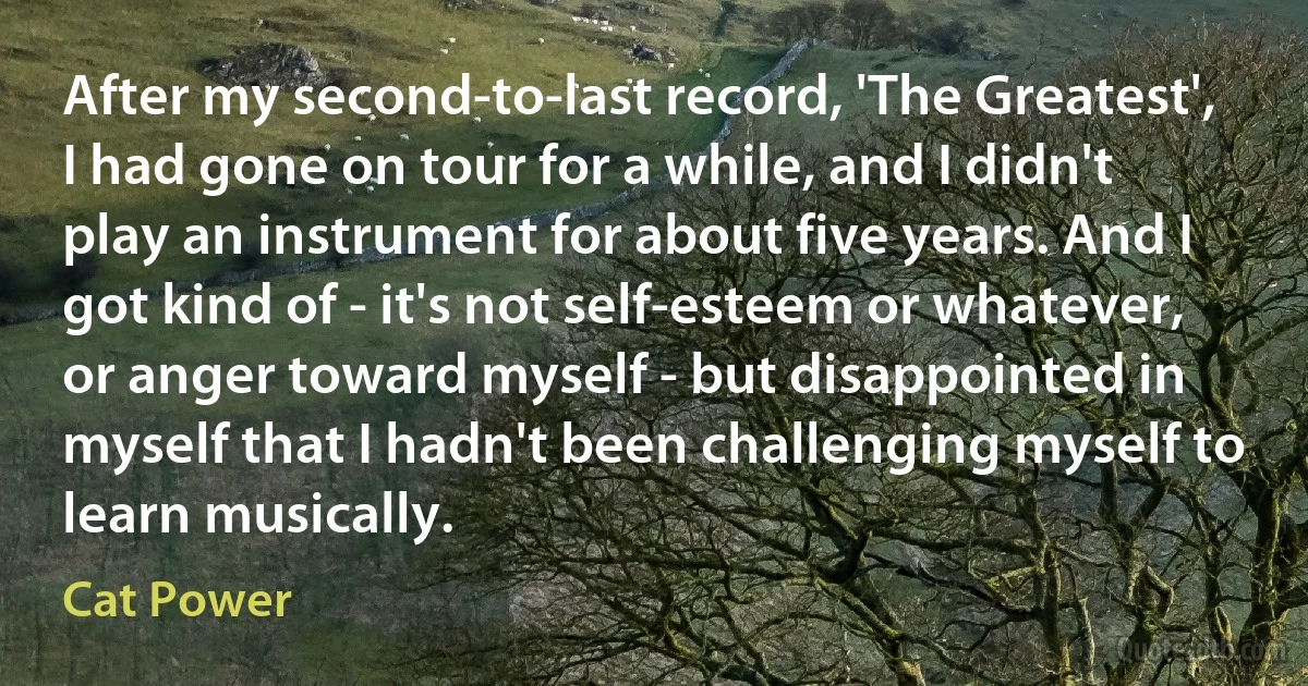 After my second-to-last record, 'The Greatest', I had gone on tour for a while, and I didn't play an instrument for about five years. And I got kind of - it's not self-esteem or whatever, or anger toward myself - but disappointed in myself that I hadn't been challenging myself to learn musically. (Cat Power)