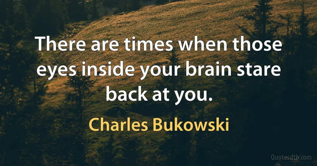 There are times when those eyes inside your brain stare back at you. (Charles Bukowski)