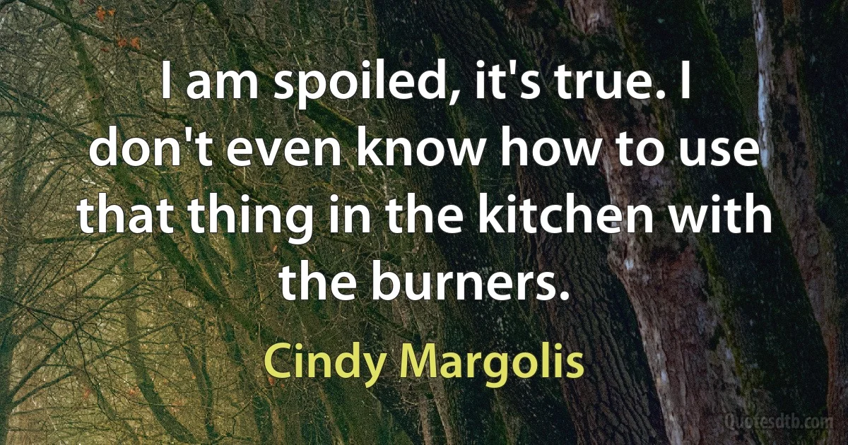 I am spoiled, it's true. I don't even know how to use that thing in the kitchen with the burners. (Cindy Margolis)