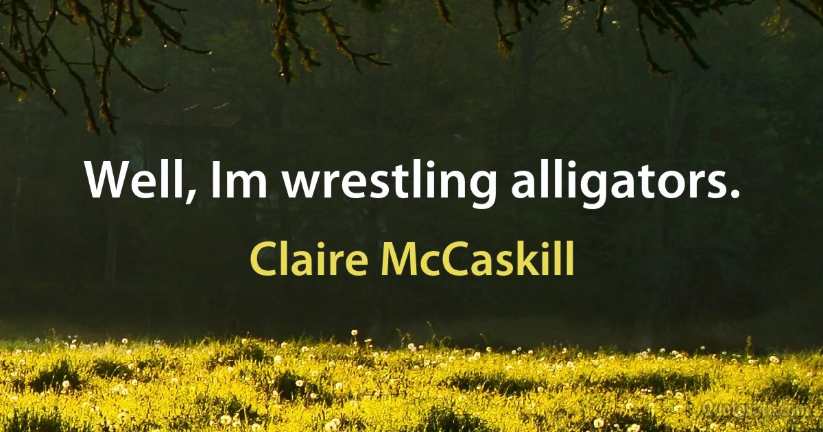 Well, Im wrestling alligators. (Claire McCaskill)