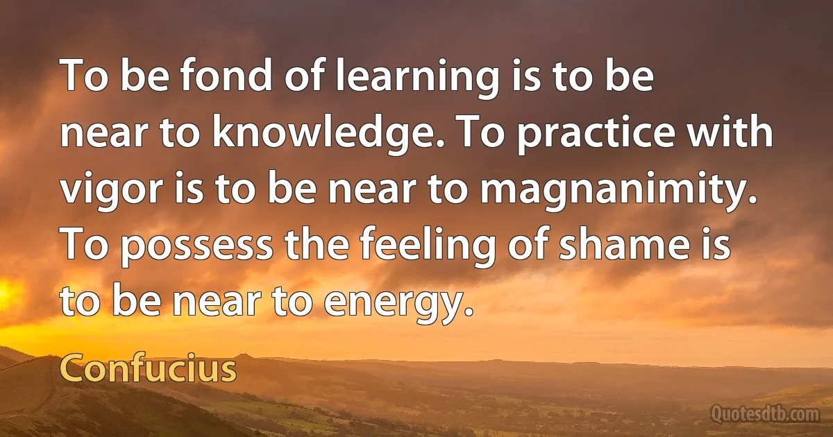 To be fond of learning is to be near to knowledge. To practice with vigor is to be near to magnanimity. To possess the feeling of shame is to be near to energy. (Confucius)