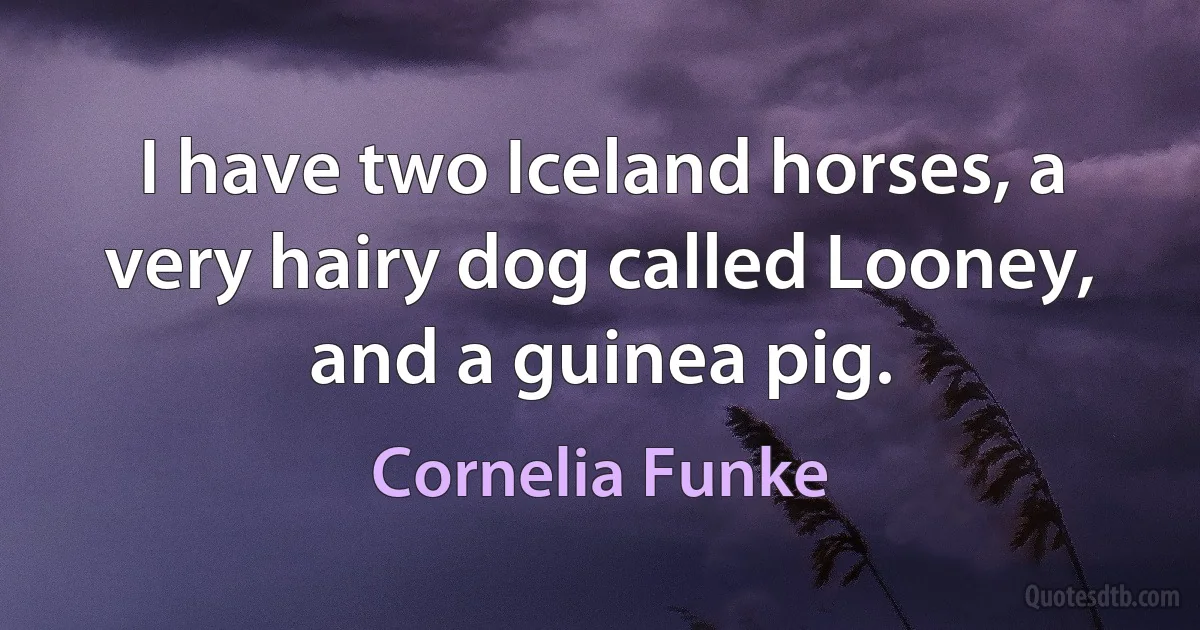 I have two Iceland horses, a very hairy dog called Looney, and a guinea pig. (Cornelia Funke)