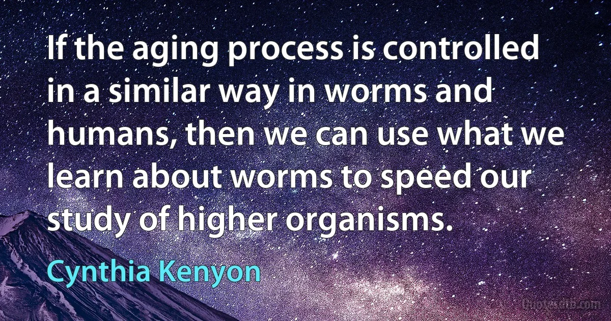 If the aging process is controlled in a similar way in worms and humans, then we can use what we learn about worms to speed our study of higher organisms. (Cynthia Kenyon)