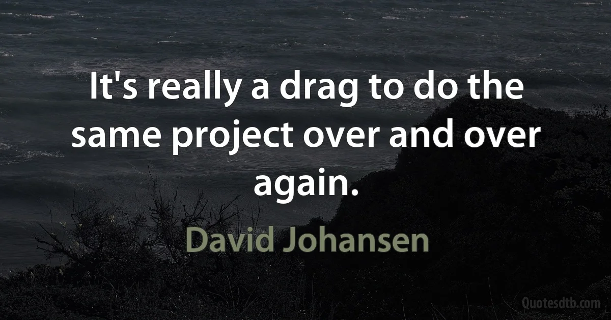 It's really a drag to do the same project over and over again. (David Johansen)