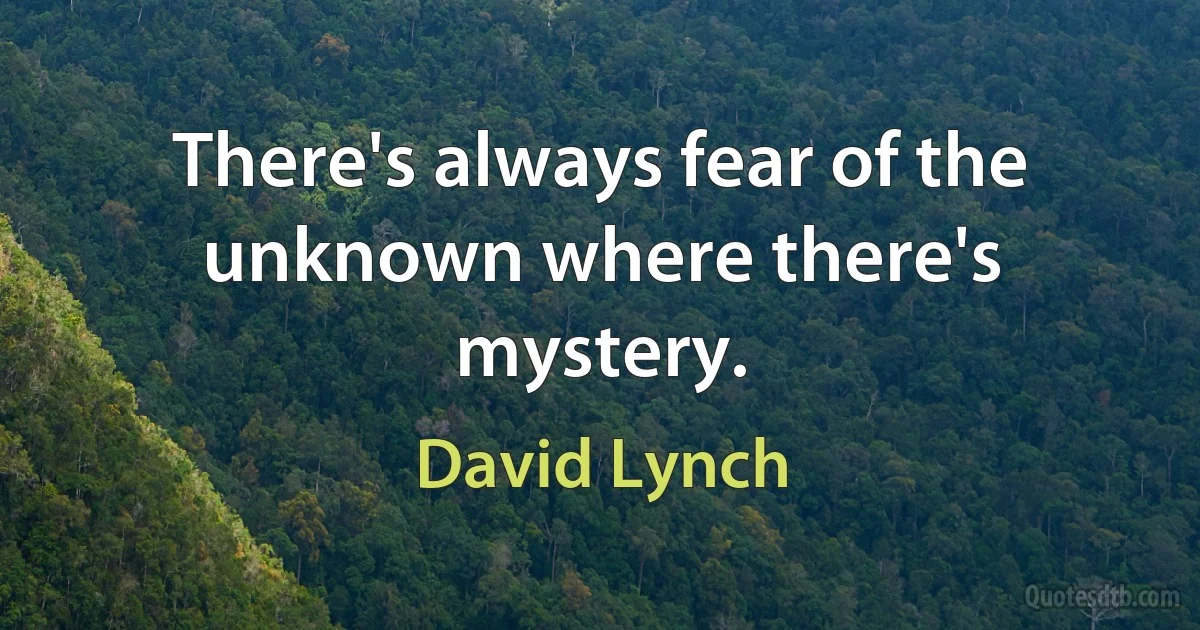 There's always fear of the unknown where there's mystery. (David Lynch)