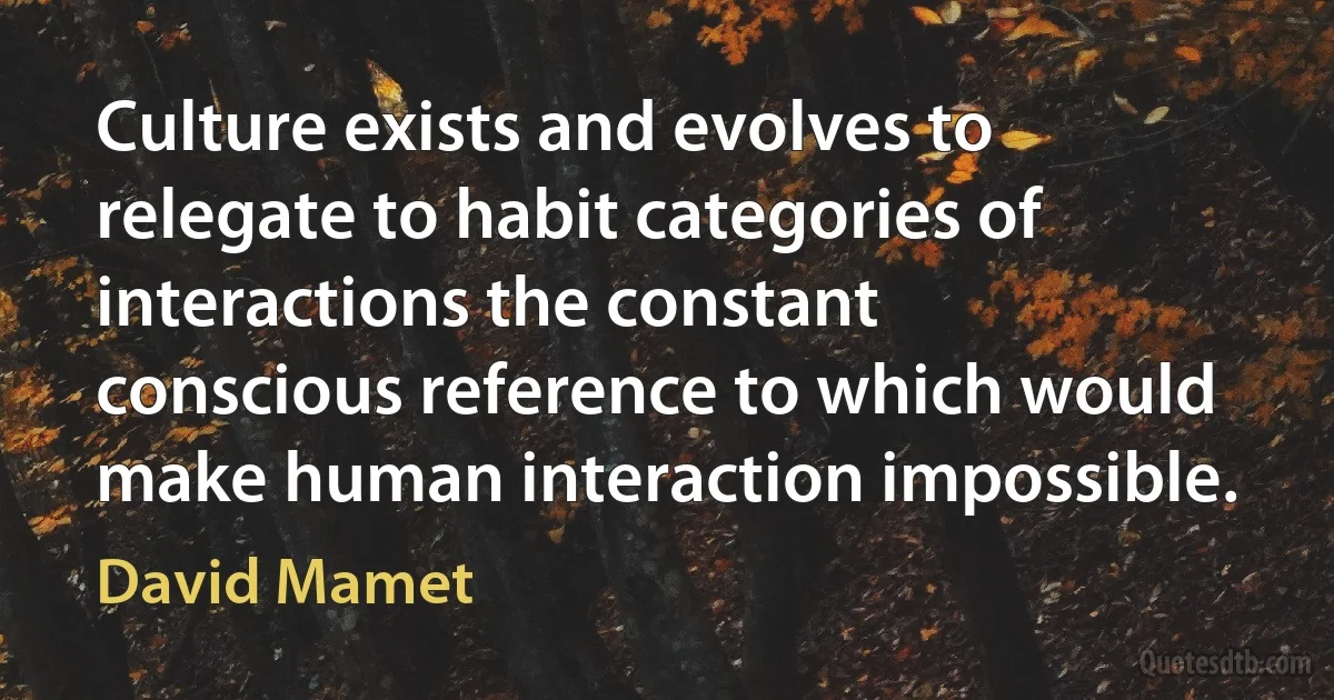 Culture exists and evolves to relegate to habit categories of interactions the constant conscious reference to which would make human interaction impossible. (David Mamet)