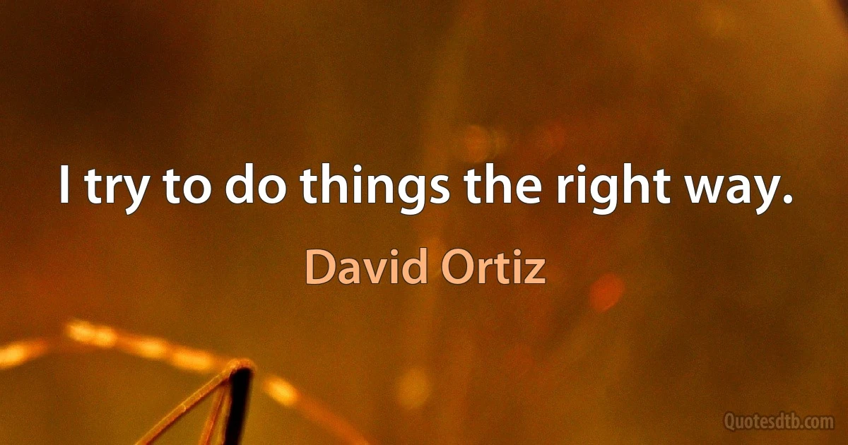 I try to do things the right way. (David Ortiz)