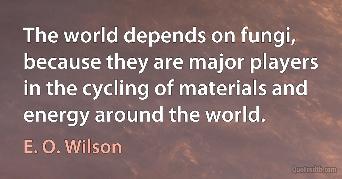 The world depends on fungi, because they are major players in the cycling of materials and energy around the world. (E. O. Wilson)