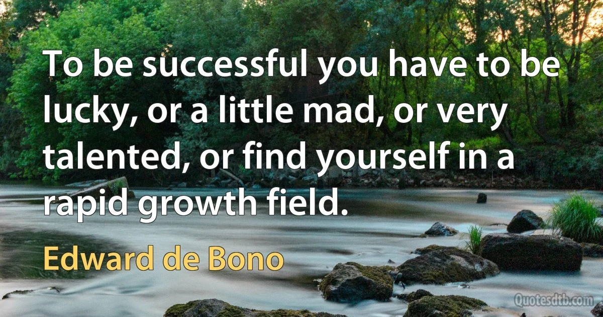 To be successful you have to be lucky, or a little mad, or very talented, or find yourself in a rapid growth field. (Edward de Bono)