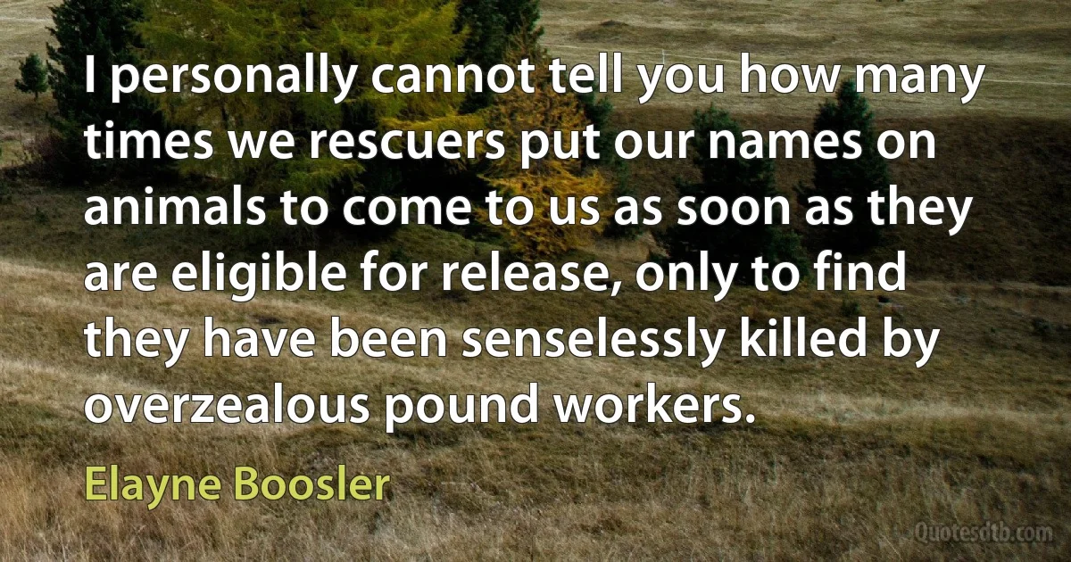 I personally cannot tell you how many times we rescuers put our names on animals to come to us as soon as they are eligible for release, only to find they have been senselessly killed by overzealous pound workers. (Elayne Boosler)