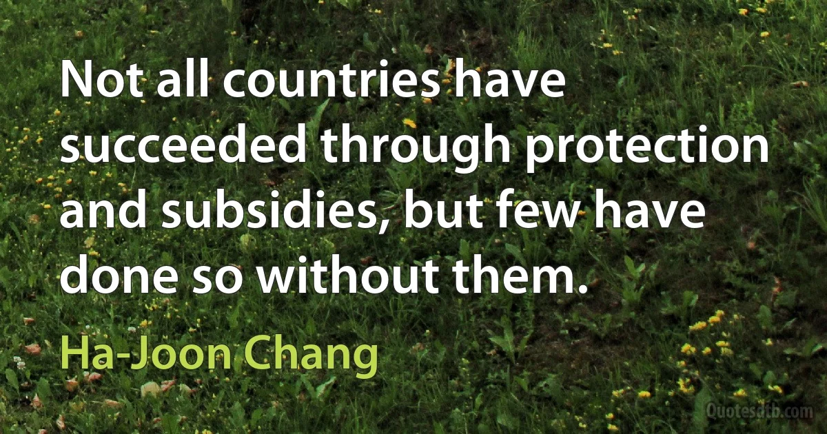 Not all countries have succeeded through protection and subsidies, but few have done so without them. (Ha-Joon Chang)