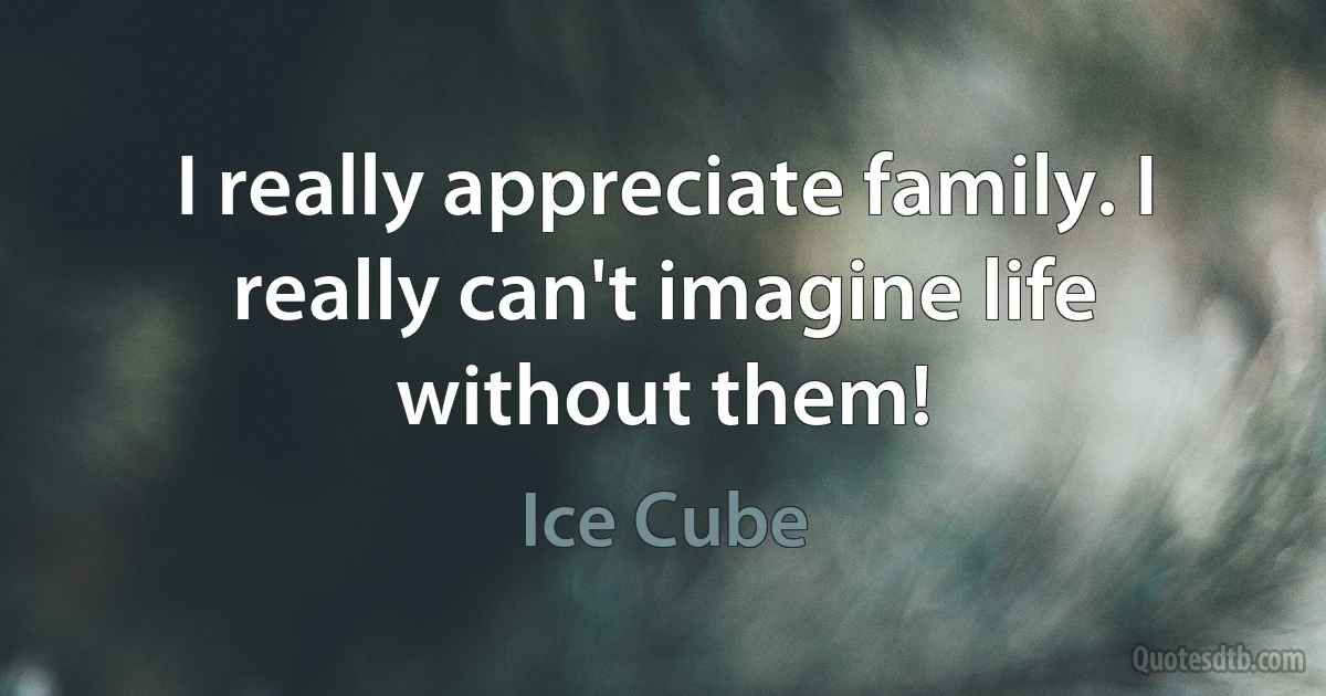 I really appreciate family. I really can't imagine life without them! (Ice Cube)