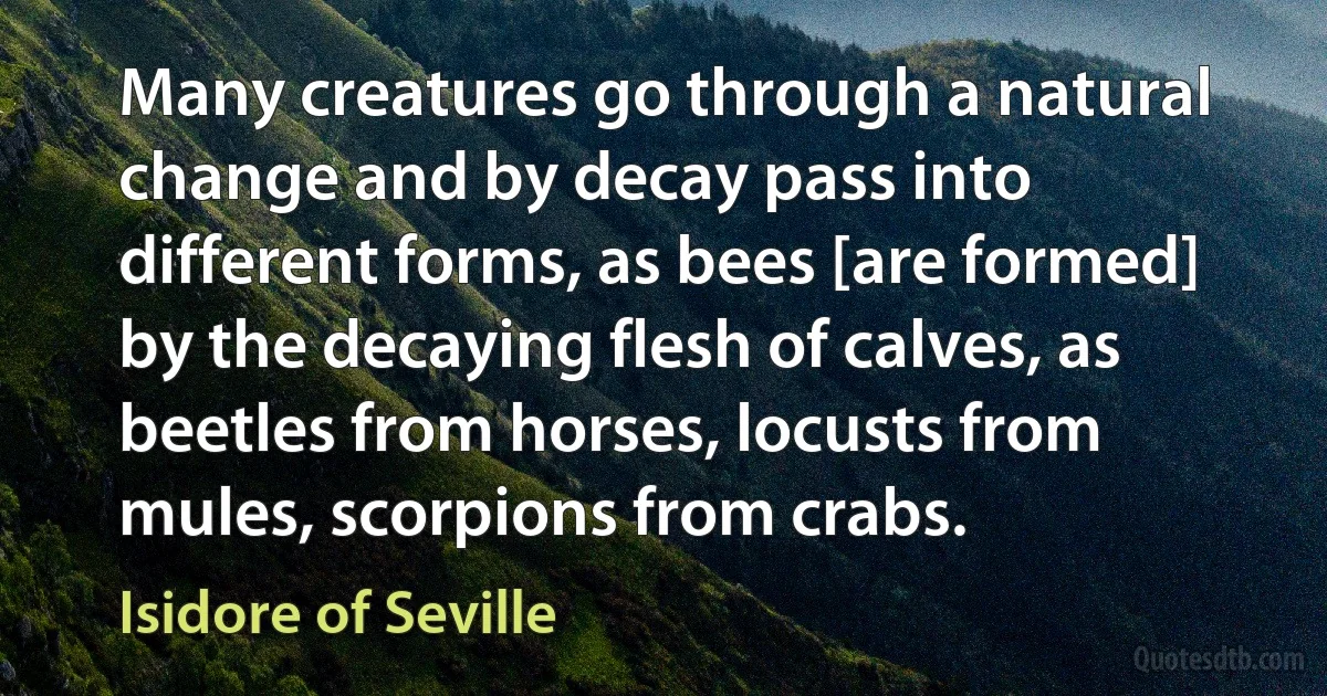 Many creatures go through a natural change and by decay pass into different forms, as bees [are formed] by the decaying flesh of calves, as beetles from horses, locusts from mules, scorpions from crabs. (Isidore of Seville)