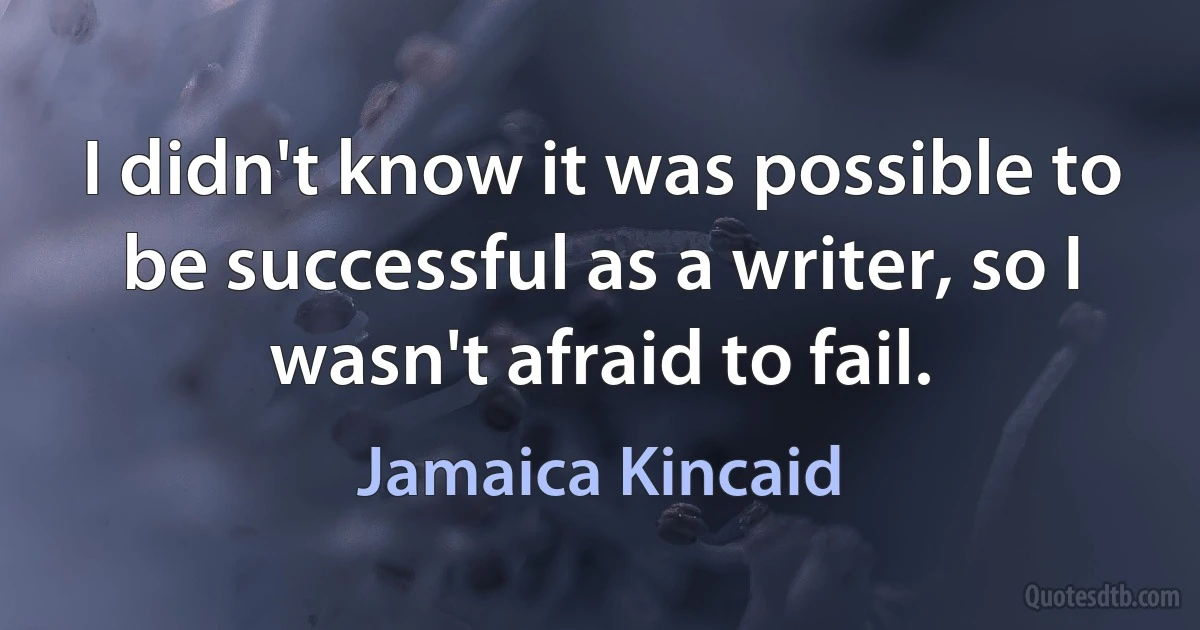 I didn't know it was possible to be successful as a writer, so I wasn't afraid to fail. (Jamaica Kincaid)