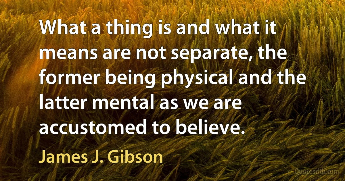 What a thing is and what it means are not separate, the former being physical and the latter mental as we are accustomed to believe. (James J. Gibson)