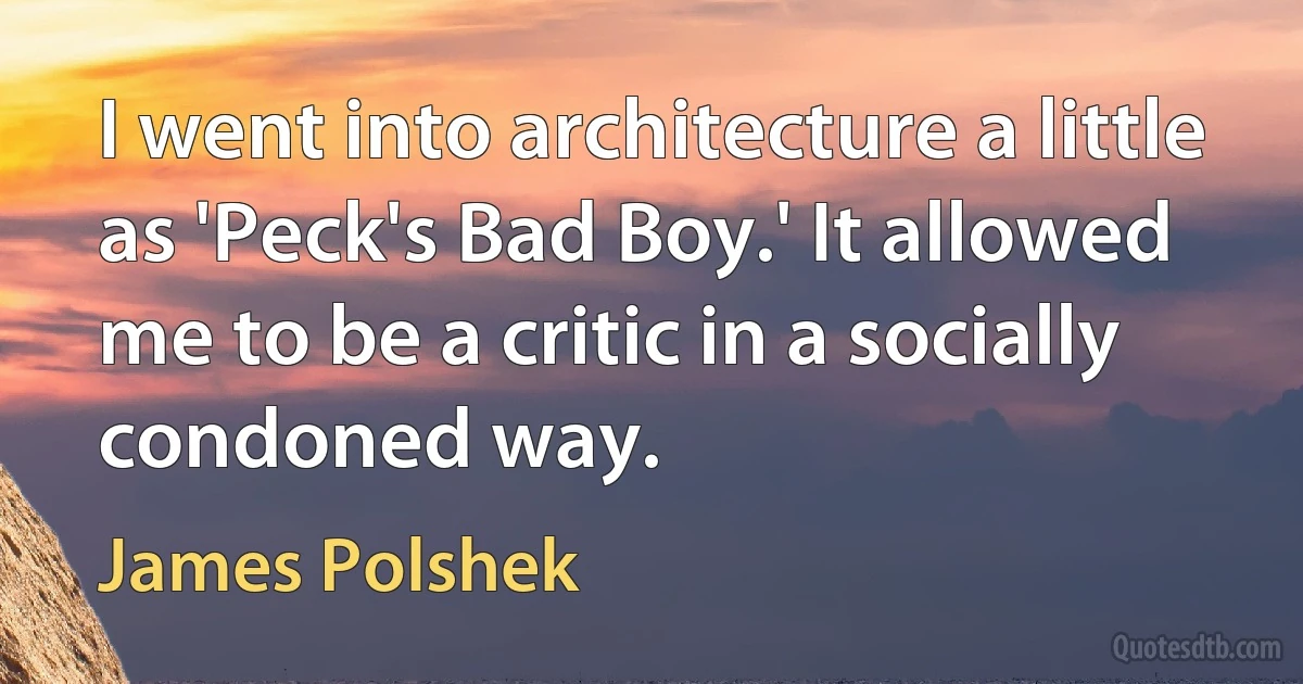 I went into architecture a little as 'Peck's Bad Boy.' It allowed me to be a critic in a socially condoned way. (James Polshek)