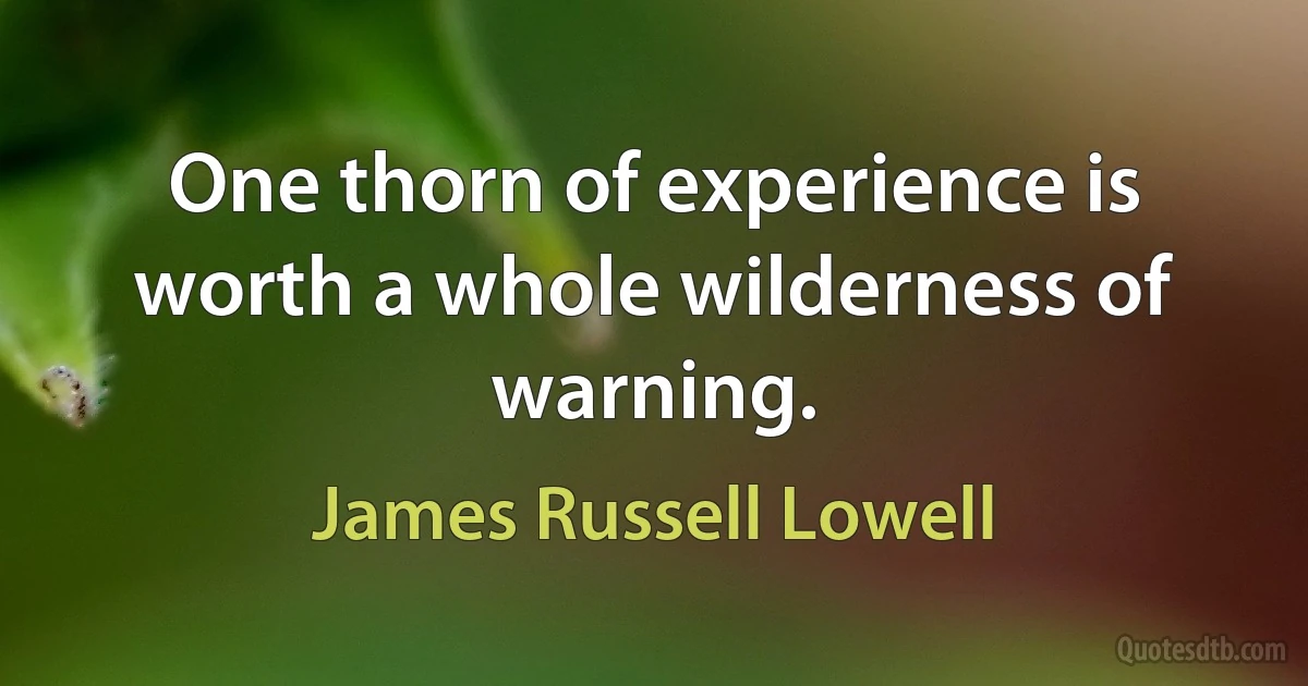 One thorn of experience is worth a whole wilderness of warning. (James Russell Lowell)