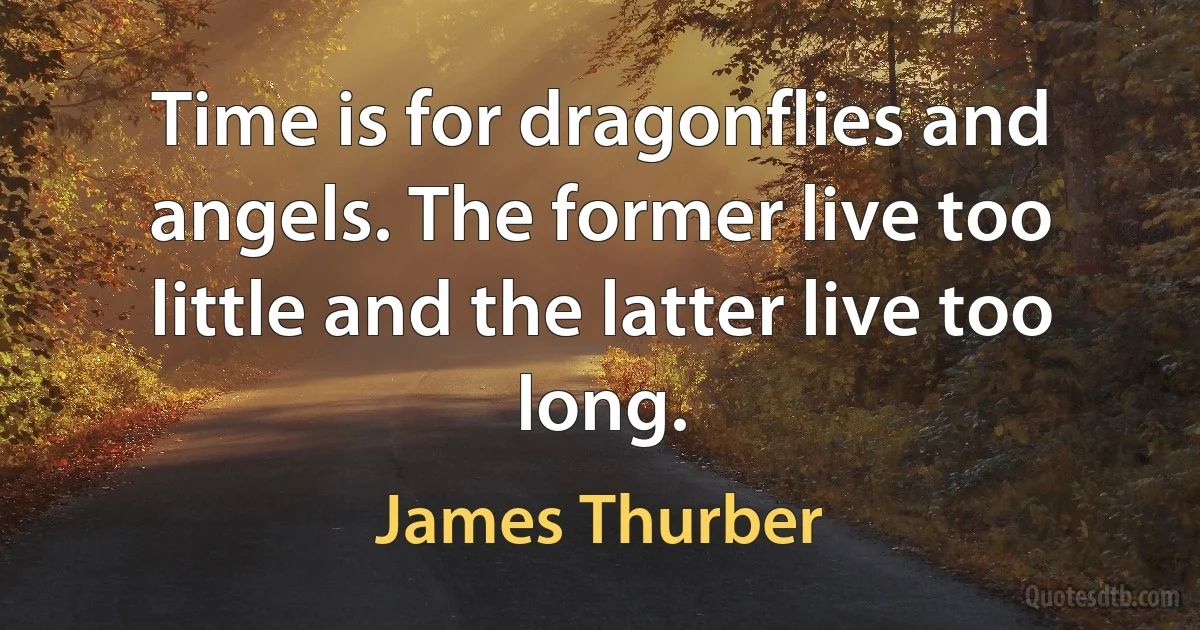 Time is for dragonflies and angels. The former live too little and the latter live too long. (James Thurber)