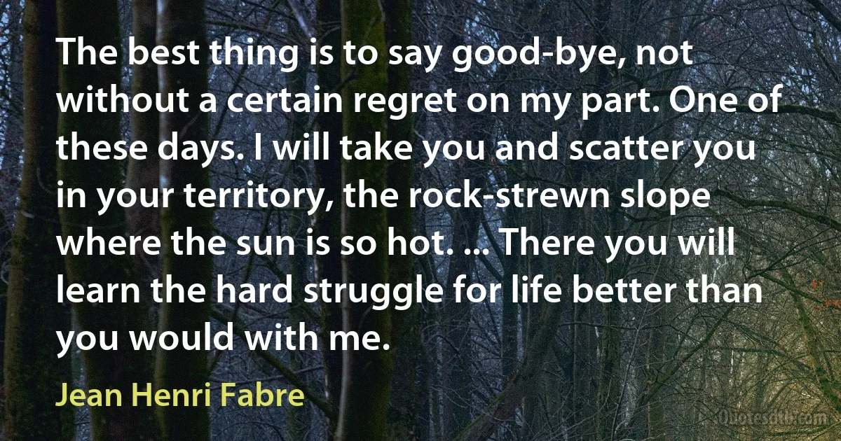 The best thing is to say good-bye, not without a certain regret on my part. One of these days. I will take you and scatter you in your territory, the rock-strewn slope where the sun is so hot. ... There you will learn the hard struggle for life better than you would with me. (Jean Henri Fabre)