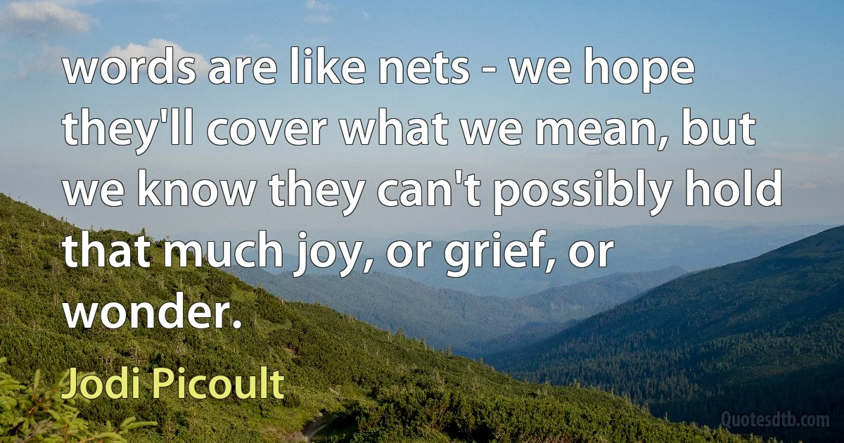 words are like nets - we hope they'll cover what we mean, but we know they can't possibly hold that much joy, or grief, or wonder. (Jodi Picoult)