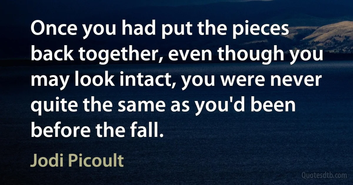 Once you had put the pieces back together, even though you may look intact, you were never quite the same as you'd been before the fall. (Jodi Picoult)