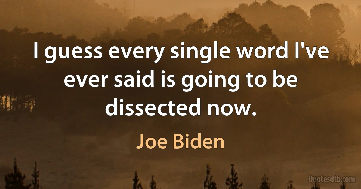 I guess every single word I've ever said is going to be dissected now. (Joe Biden)