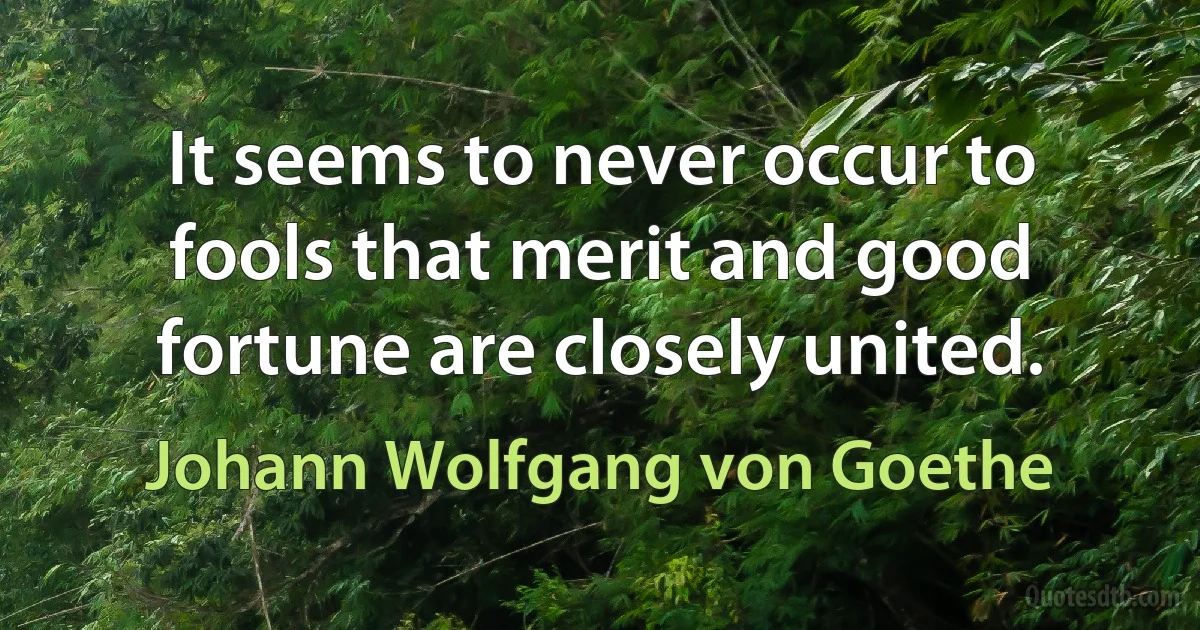 It seems to never occur to fools that merit and good fortune are closely united. (Johann Wolfgang von Goethe)