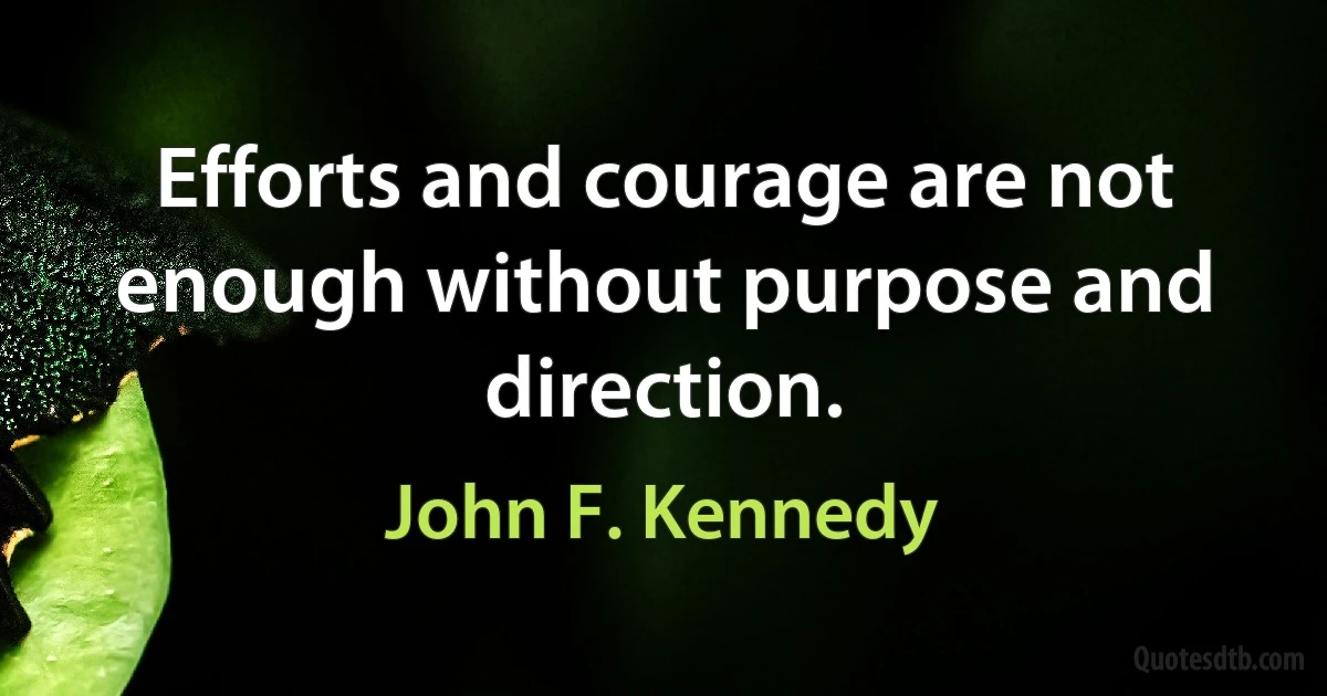 Efforts and courage are not enough without purpose and direction. (John F. Kennedy)