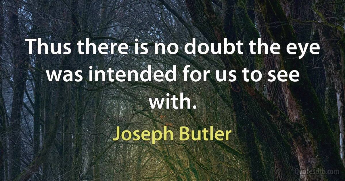 Thus there is no doubt the eye was intended for us to see with. (Joseph Butler)