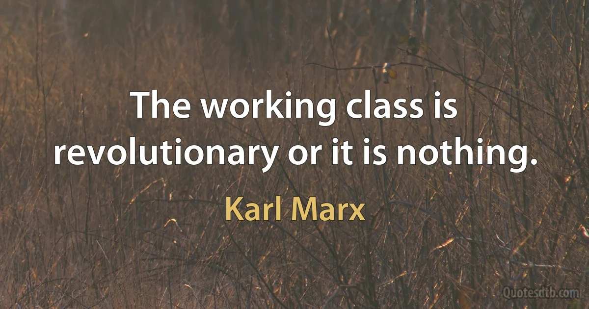 The working class is revolutionary or it is nothing. (Karl Marx)