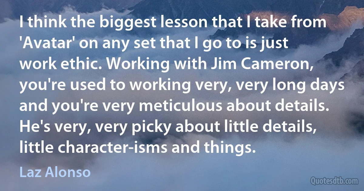 I think the biggest lesson that I take from 'Avatar' on any set that I go to is just work ethic. Working with Jim Cameron, you're used to working very, very long days and you're very meticulous about details. He's very, very picky about little details, little character-isms and things. (Laz Alonso)