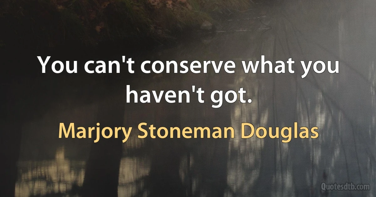 You can't conserve what you haven't got. (Marjory Stoneman Douglas)