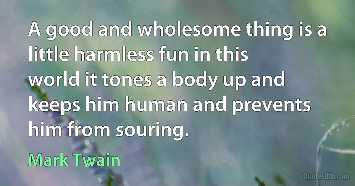 A good and wholesome thing is a little harmless fun in this world it tones a body up and keeps him human and prevents him from souring. (Mark Twain)