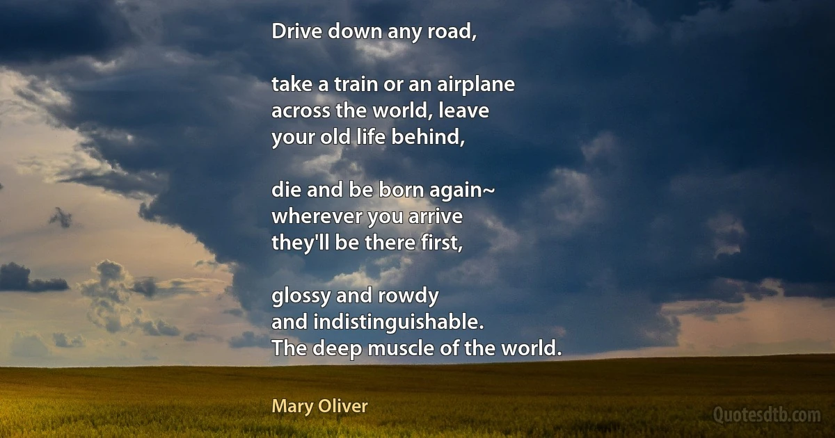 Drive down any road,

take a train or an airplane
across the world, leave
your old life behind,

die and be born again~
wherever you arrive
they'll be there first,

glossy and rowdy
and indistinguishable.
The deep muscle of the world. (Mary Oliver)