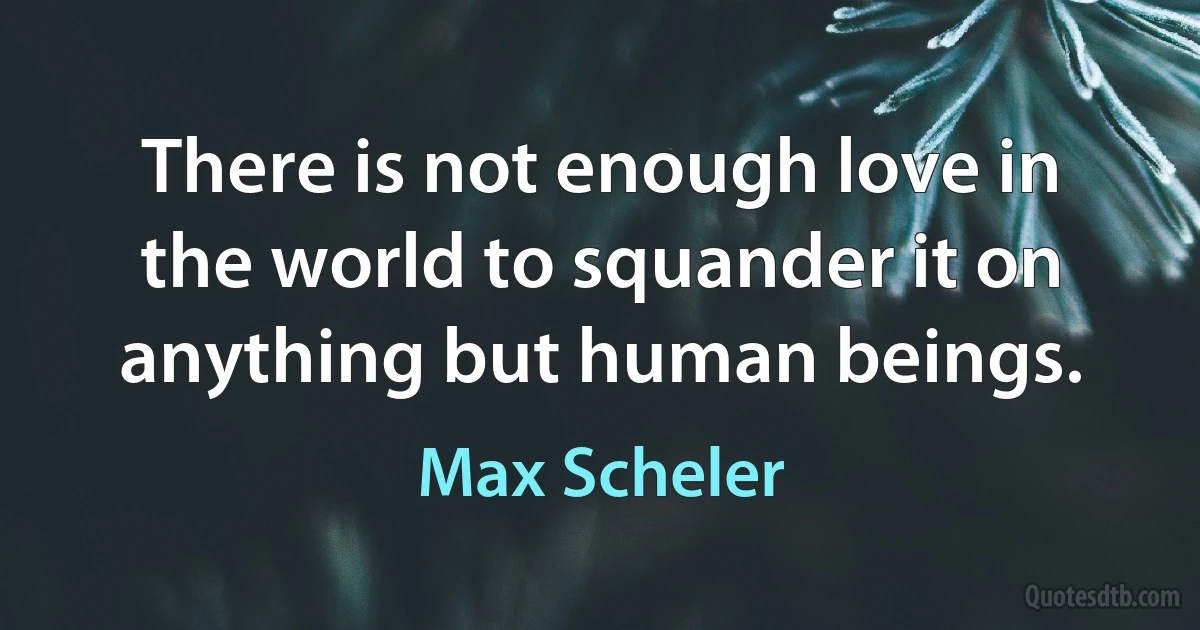 There is not enough love in the world to squander it on anything but human beings. (Max Scheler)